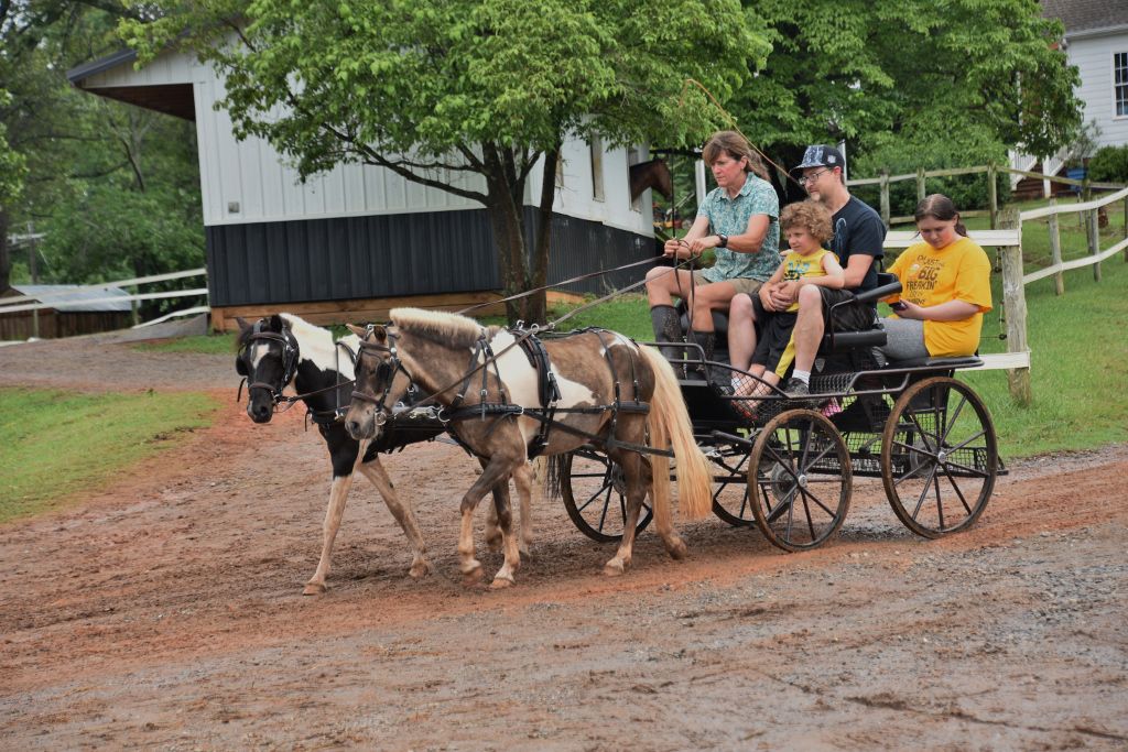 mimosa farm 2019 127 (1024x683).jpg